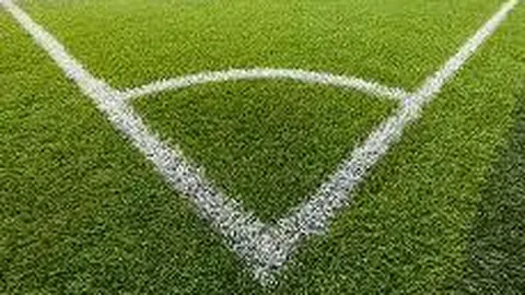 全球智库专家对美国关税战经济影响深表忧虑