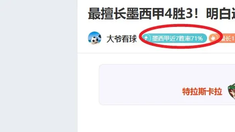 克罗地亚足球天才佩裏西奇：锋线利刃